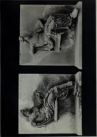 An illustration from Archaiologik ephmeris : ekdidomen hypo ts en Athnais Archaiologiks Hetairias (1862)