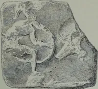 An illustration from Archaiologik ephmeris : ekdidomen hypo ts en Athnais Archaiologiks Hetairias (1862)