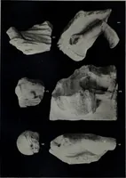 An illustration from Archaiologik ephmeris : ekdidomen hypo ts en Athnais Archaiologiks Hetairias (1862)