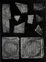 Picture 19 of 187 from Archaiologik ephmeris : ekdidomen hypo ts en Athnais Archaiologiks Hetairias (1862), leaf 118