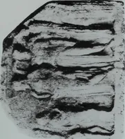 An illustration from Archaiologik ephmeris : ekdidomen hypo ts en Athnais Archaiologiks Hetairias (1862)