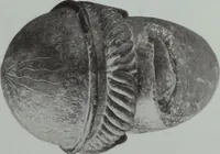 Picture 163 of 187 from Archaiologik ephmeris : ekdidomen hypo ts en Athnais Archaiologiks Hetairias (1862), leaf 448