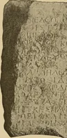 Picture 58 of 239 from Archaiologik ephmeris : ekdidomen hypo ts en Athnais Archaiologiks Hetairias (1862), leaf 220