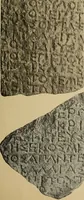 Picture 59 of 239 from Archaiologik ephmeris : ekdidomen hypo ts en Athnais Archaiologiks Hetairias (1862), leaf 220