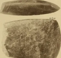An illustration from Archaiologik ephmeris : ekdidomen hypo ts en Athnais Archaiologiks Hetairias (1862)