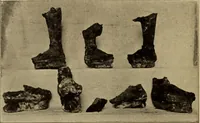 An illustration from Archaiologik ephmeris : ekdidomen hypo ts en Athnais Archaiologiks Hetairias (1862)