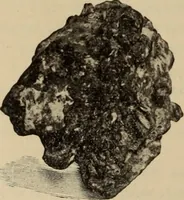 An illustration from Archaiologik ephmeris : ekdidomen hypo ts en Athnais Archaiologiks Hetairias (1862)