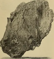 An illustration from Archaiologik ephmeris : ekdidomen hypo ts en Athnais Archaiologiks Hetairias (1862)