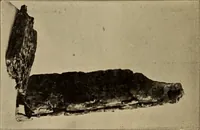An illustration from Archaiologik ephmeris : ekdidomen hypo ts en Athnais Archaiologiks Hetairias (1862)