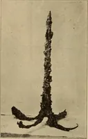 An illustration from Archaiologik ephmeris : ekdidomen hypo ts en Athnais Archaiologiks Hetairias (1862)