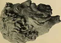 An illustration from Archaiologik ephmeris : ekdidomen hypo ts en Athnais Archaiologiks Hetairias (1862)