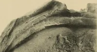 An illustration from Archaiologik ephmeris : ekdidomen hypo ts en Athnais Archaiologiks Hetairias (1862)