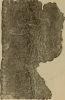 Picture 220 of 239 from Archaiologik ephmeris : ekdidomen hypo ts en Athnais Archaiologiks Hetairias (1862), leaf 527