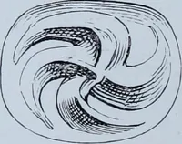 An illustration from Archaiologik ephmeris : ekdidomen hypo ts en Athnais Archaiologiks Hetairias (1862)