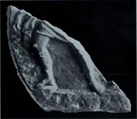An illustration from Archaiologik ephmeris : ekdidomen hypo ts en Athnais Archaiologiks Hetairias (1862)