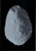 An illustration from Archaiologik ephmeris : ekdidomen hypo ts en Athnais Archaiologiks Hetairias (1862)