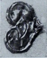 An illustration from Archaiologik ephmeris : ekdidomen hypo ts en Athnais Archaiologiks Hetairias (1862)