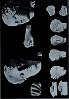 An illustration from Archaiologik ephmeris : ekdidomen hypo ts en Athnais Archaiologiks Hetairias (1862)