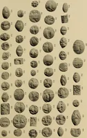 An illustration from Archaiologik ephmeris : ekdidomen hypo ts en Athnais Archaiologiks Hetairias (1862)