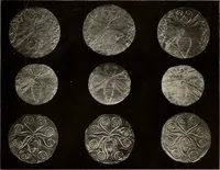 Picture 9 of 230 from Archaiologik ephmeris : ekdidomen hypo ts en Athnais Archaiologiks Hetairias (1862), leaf 26