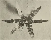 An illustration from Archaiologik ephmeris : ekdidomen hypo ts en Athnais Archaiologiks Hetairias (1862)