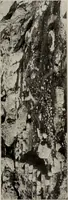 An illustration from Archaiologik ephmeris : ekdidomen hypo ts en Athnais Archaiologiks Hetairias (1862)