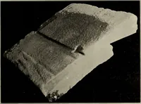 An illustration from Archaiologik ephmeris : ekdidomen hypo ts en Athnais Archaiologiks Hetairias (1862)