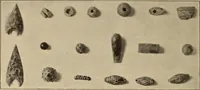 An illustration from Archaiologik ephmeris : ekdidomen hypo ts en Athnais Archaiologiks Hetairias (1862)