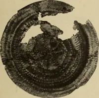 An illustration from Archaiologik ephmeris : ekdidomen hypo ts en Athnais Archaiologiks Hetairias (1862)