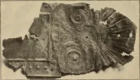 An illustration from Archaiologik ephmeris : ekdidomen hypo ts en Athnais Archaiologiks Hetairias (1862)