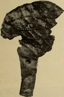 An illustration from Archaiologik ephmeris : ekdidomen hypo ts en Athnais Archaiologiks Hetairias (1862)