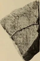 An illustration from Archaiologik ephmeris : ekdidomen hypo ts en Athnais Archaiologiks Hetairias (1862)