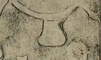 Picture 203 of 328 from Archaiologik ephmeris : ekdidomen hypo ts en Athnais Archaiologiks Hetairias (1862), leaf 304