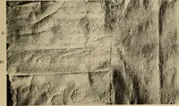 Picture 216 of 328 from Archaiologik ephmeris : ekdidomen hypo ts en Athnais Archaiologiks Hetairias (1862), leaf 322