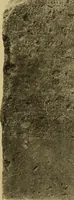 An illustration from Archaiologik ephmeris : ekdidomen hypo ts en Athnais Archaiologiks Hetairias (1862)