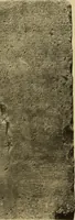 Picture 238 of 328 from Archaiologik ephmeris : ekdidomen hypo ts en Athnais Archaiologiks Hetairias (1862), leaf 386