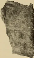 An illustration from Archaiologik ephmeris : ekdidomen hypo ts en Athnais Archaiologiks Hetairias (1862)
