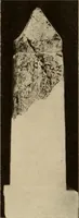 An illustration from Archaiologik ephmeris : ekdidomen hypo ts en Athnais Archaiologiks Hetairias (1862)