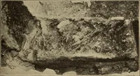 An illustration from Archaiologik ephmeris : ekdidomen hypo ts en Athnais Archaiologiks Hetairias (1862)