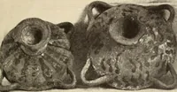 Picture 68 of 475 from Archaiologik ephmeris : ekdidomen hypo ts en Athnais Archaiologiks Hetairias (1862), leaf 132