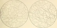 Picture 80 of 475 from Archaiologik ephmeris : ekdidomen hypo ts en Athnais Archaiologiks Hetairias (1862), leaf 142