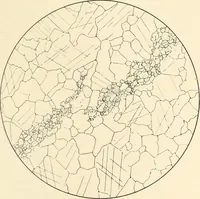 Picture 81 of 475 from Archaiologik ephmeris : ekdidomen hypo ts en Athnais Archaiologiks Hetairias (1862), leaf 142