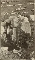 Picture 105 of 475 from Archaiologik ephmeris : ekdidomen hypo ts en Athnais Archaiologiks Hetairias (1862), leaf 181