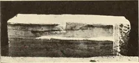 Picture 153 of 475 from Archaiologik ephmeris : ekdidomen hypo ts en Athnais Archaiologiks Hetairias (1862), leaf 212
