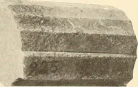 Picture 166 of 475 from Archaiologik ephmeris : ekdidomen hypo ts en Athnais Archaiologiks Hetairias (1862), leaf 220