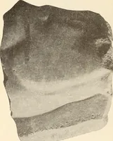 Picture 175 of 475 from Archaiologik ephmeris : ekdidomen hypo ts en Athnais Archaiologiks Hetairias (1862), leaf 223