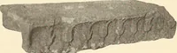 Picture 181 of 475 from Archaiologik ephmeris : ekdidomen hypo ts en Athnais Archaiologiks Hetairias (1862), leaf 224
