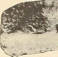 Picture 185 of 475 from Archaiologik ephmeris : ekdidomen hypo ts en Athnais Archaiologiks Hetairias (1862), leaf 229