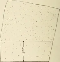 Picture 190 of 475 from Archaiologik ephmeris : ekdidomen hypo ts en Athnais Archaiologiks Hetairias (1862), leaf 229
