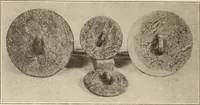 Picture 224 of 475 from Archaiologik ephmeris : ekdidomen hypo ts en Athnais Archaiologiks Hetairias (1862), leaf 253